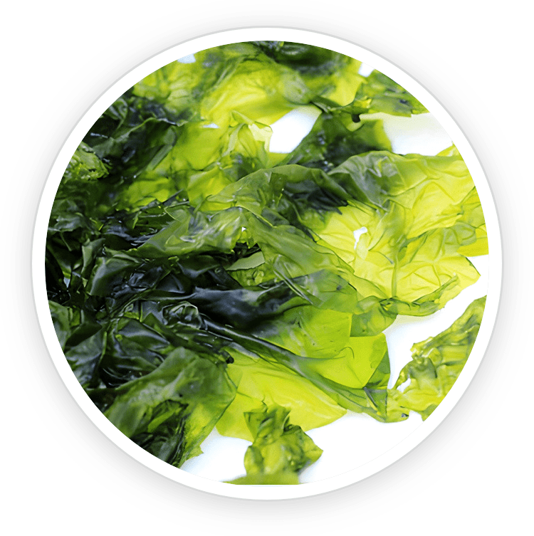Prostadine is made of Nori Yaki Extract Powder