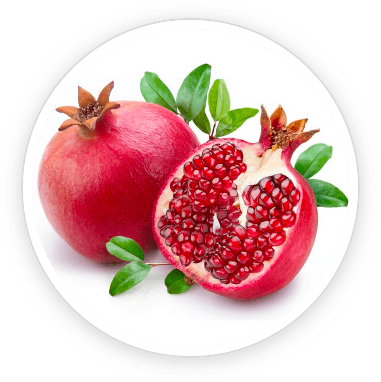 Prostadine is made of Pomegranate Extract